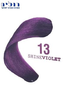 צבע אלגון 13