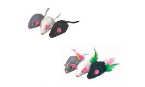 עכברים