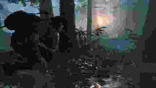 THE LAST OF US PART 2 PS4