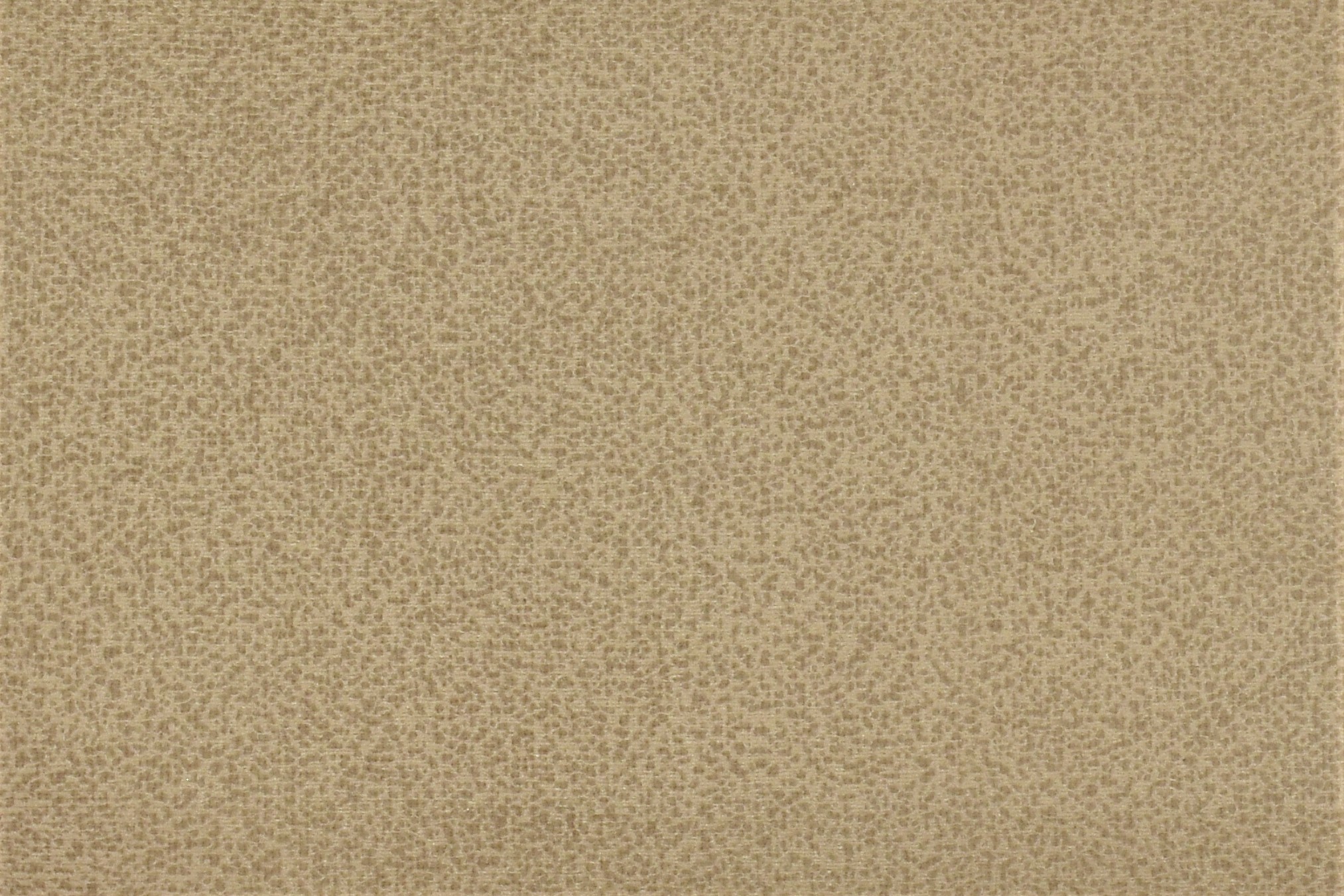 A8fe3b7102dd19663cf69b75b2df90f5