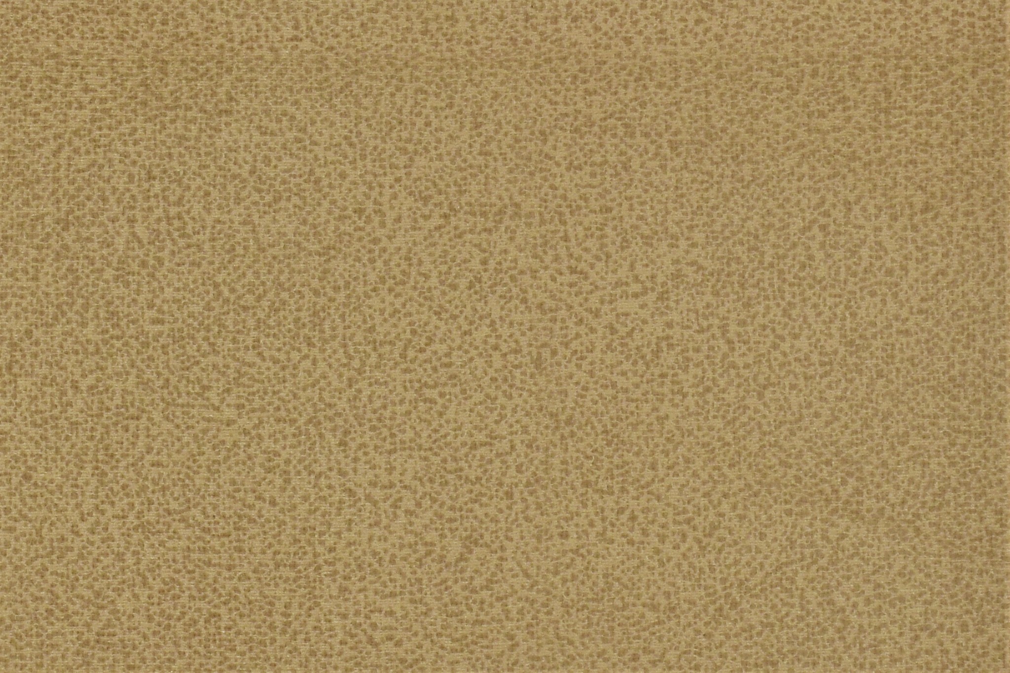 22b91dea7498fcce5882c28f79c9cfef