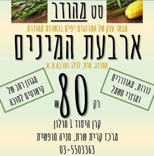 סט מהודר ארבעת המינים א.א קרן היסוד 1 חולון!  איסוף עצמי בלבד 
