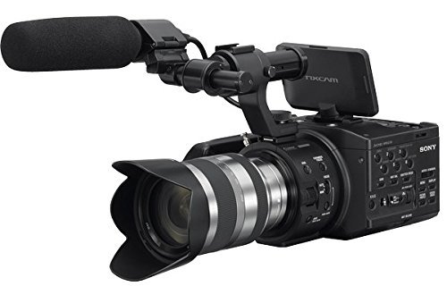 Sony NEX-FS100E