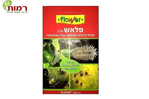פלאש קוטל כנימות - כנימה קמחית על צמח