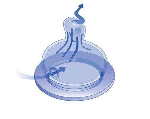 בקבוק רחב M (חלב) 260 מ