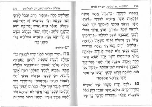 ספר תהילים גדול