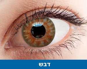 דבש