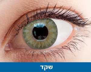 שקד