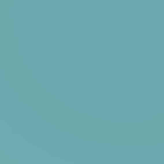 6d704f8e95e6515cc30a623aab9f27c4