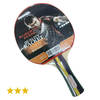 מחבט פינג פונג מקצועי 3 כוכבים ROBERTO FERRE