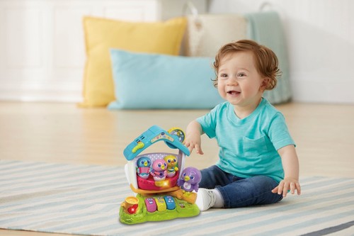 בית ציפורי השיר מנגן ומאיר