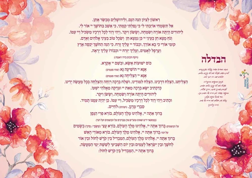 50 יחידות פלייסמנט הבדלה- ציפוי קפסולציה (XXXL)