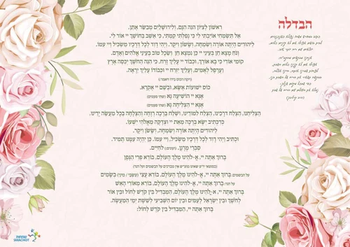 50 יחידות פלייסמנט הבדלה- ציפוי קפסולציה (XXXL)