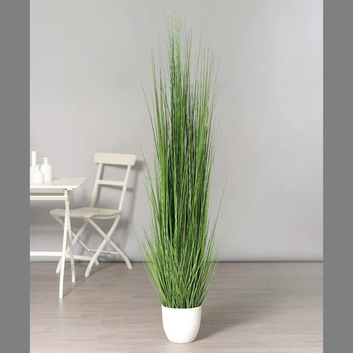 דשא ארוך בעציץ לבן 1.8 מטר isolepsis-grass