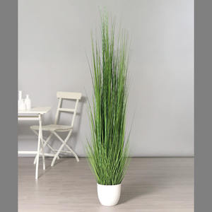 דשא ארוך בעציץ לבן 1.8 מטר isolepsis-grass