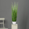 דשא קליפורניה בעציץ לבן 74 ס"מ California beach grass