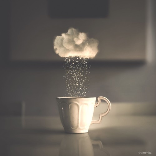 צלמת השבוע - עומריקה