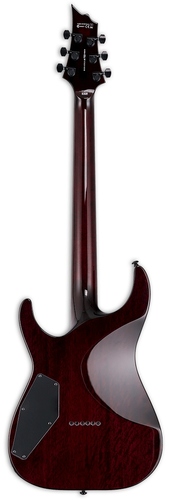 זוית נוספת ESP LTD H-1001QM