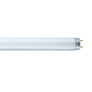 נורת פלורסנט 18W T8 אורך 600mm