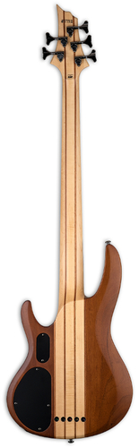 זוית נוספת גיטרה חשמלית ESP LTD B-5E MAHOGANY