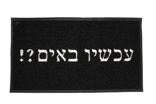 שטיחון כניסה poly-tech צבע שחור- 45/75 ס