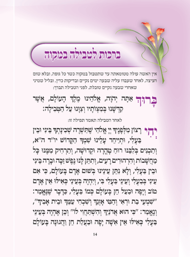 בת מלך