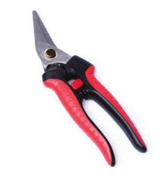 מספרי גינון 200 מ