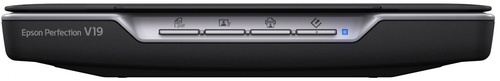 סורק Epson PERFECTION V19