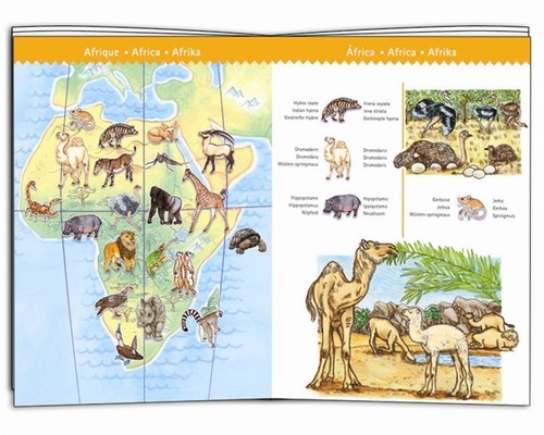 פאזל חוברת אבחנה חזותית העולם! (100 חלקים) DJECO