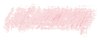 פסטל שמן גדול סנלייה 236 36ml Coral