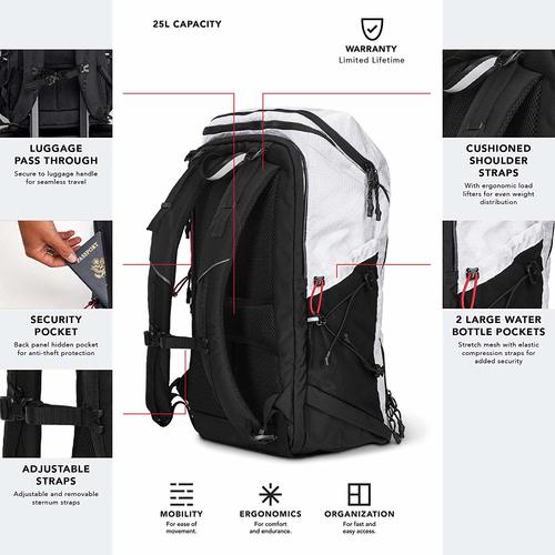 backpack with security pocket