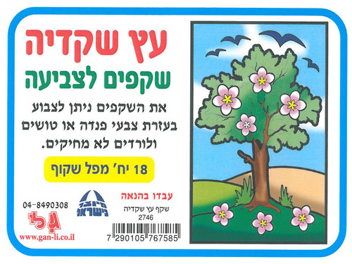 יצירה שקף עץ שקדיה