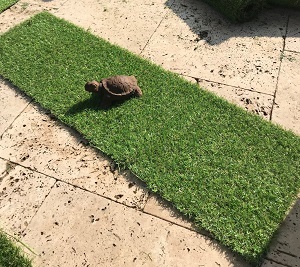 ראנר דשא בצבע ירוק במידות של 30X180 ס