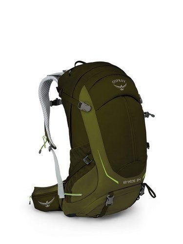 תיק יום עם מערכת גב רשת אוספרי OSPREY STARTOS 34