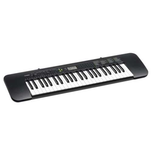 ‏אורגנית Casio CTK245 יבואן רשמי