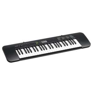 ‏אורגנית Casio CTK245 יבואן רשמי