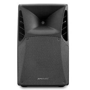 רמקול Pure Acoustics PSX-15400