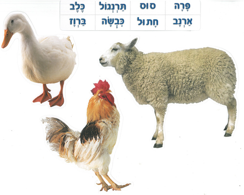 ערכת המחשה חיות בית ומשק