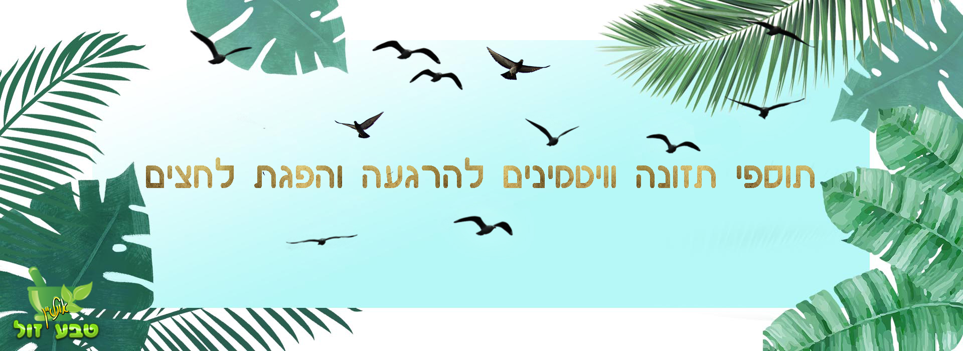 תוספי תזונה להרגעה והפגת לחצים