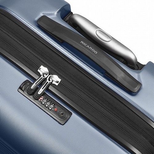 ricardo santa cruz 7.0