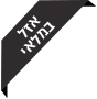 אזל במלאי