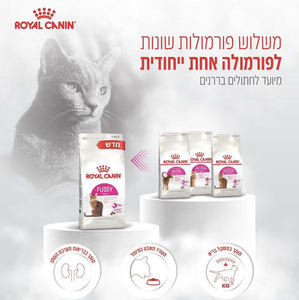 רויאל קנין לחתול אקסיג'נט פאסי 4 ק"ג Royal Canin Fussy