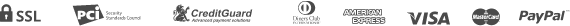 payment_icon