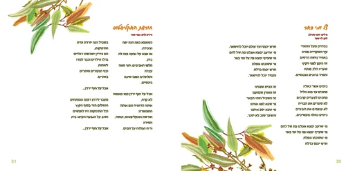 סדר טו בשבט בעיצוב שבעת המינים (L)