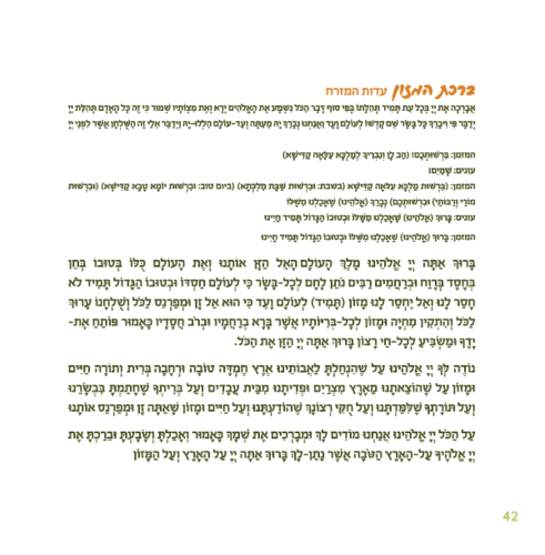 סדר טו בשבט בעיצוב שבעת המינים (L)