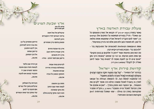 סדר ט