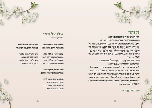 סדר ט
