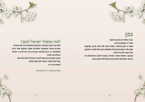 סדר ט