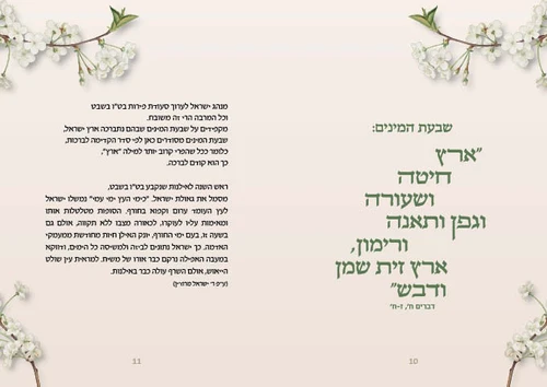 סדר ט