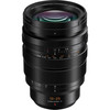Panasonic Leica DG Vario-Summilux 10-25mm f/1.7 ASPH. Lens
